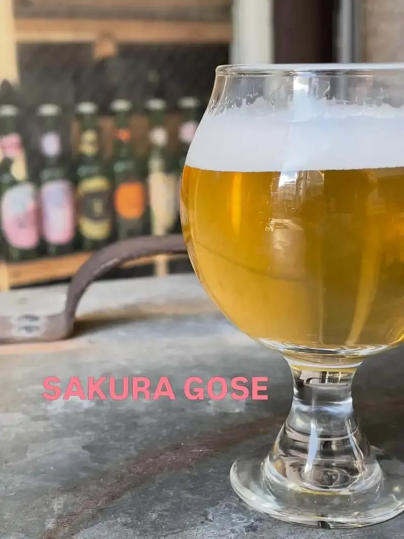MOKICHI CRAFTBEERで「サクラゴーゼ」提供、春の塩味ペアリングに注目