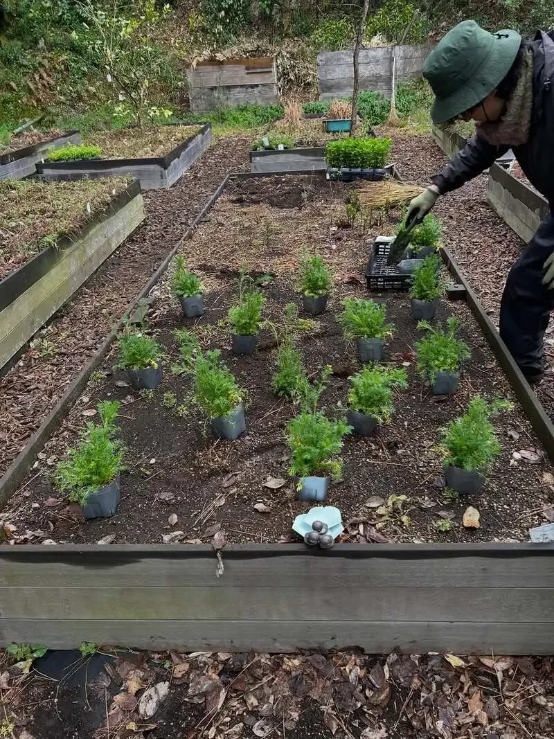 MOKICHI KAMAKURAでハーブ植え付け体験、夏の「鎌倉ハーブセゾン」へ