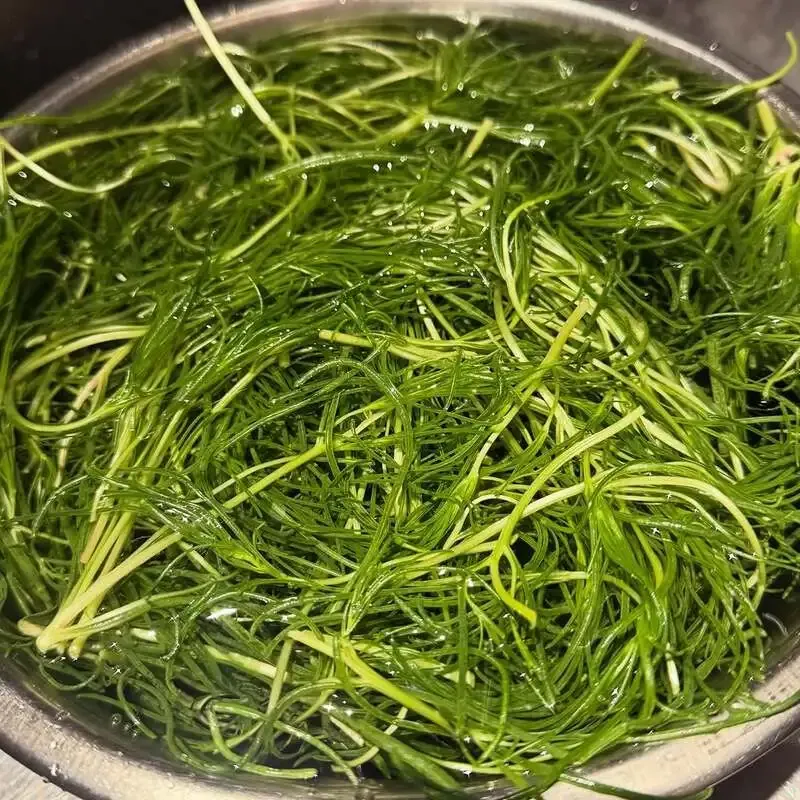 大阪・曾根崎umbrella、3月18日開栓の樽生5種を公開