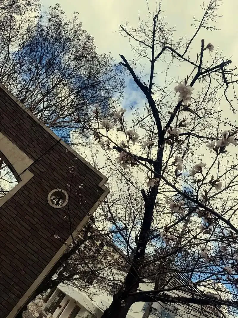 江坂Beer&Cafe HafenでY.MARKET「んちゃ！」開栓、春向けタップ更新