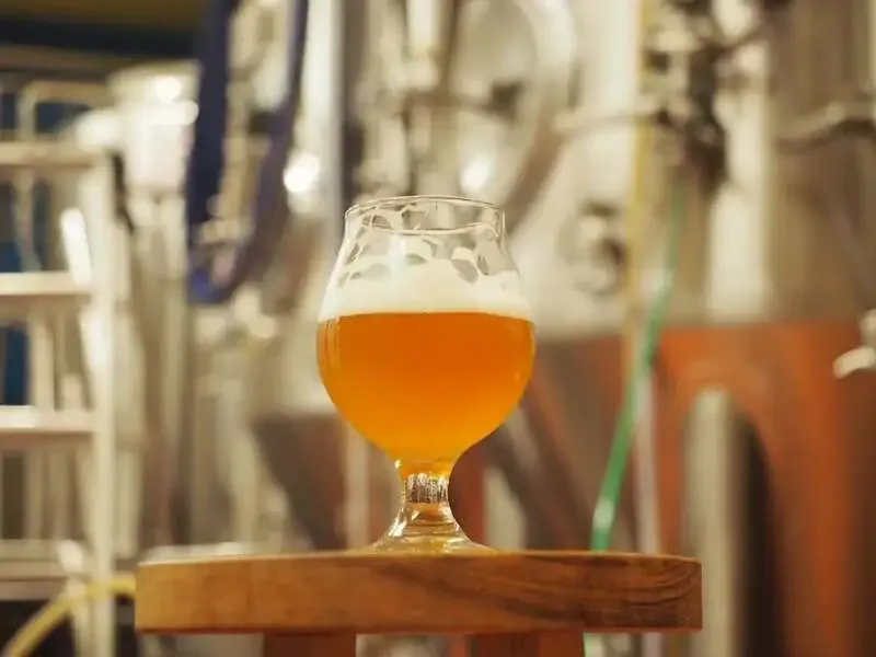 有頂天醸造がSQUIRREL FORESTと共作、8.5%の「Pequeno / Super Saison」を発表