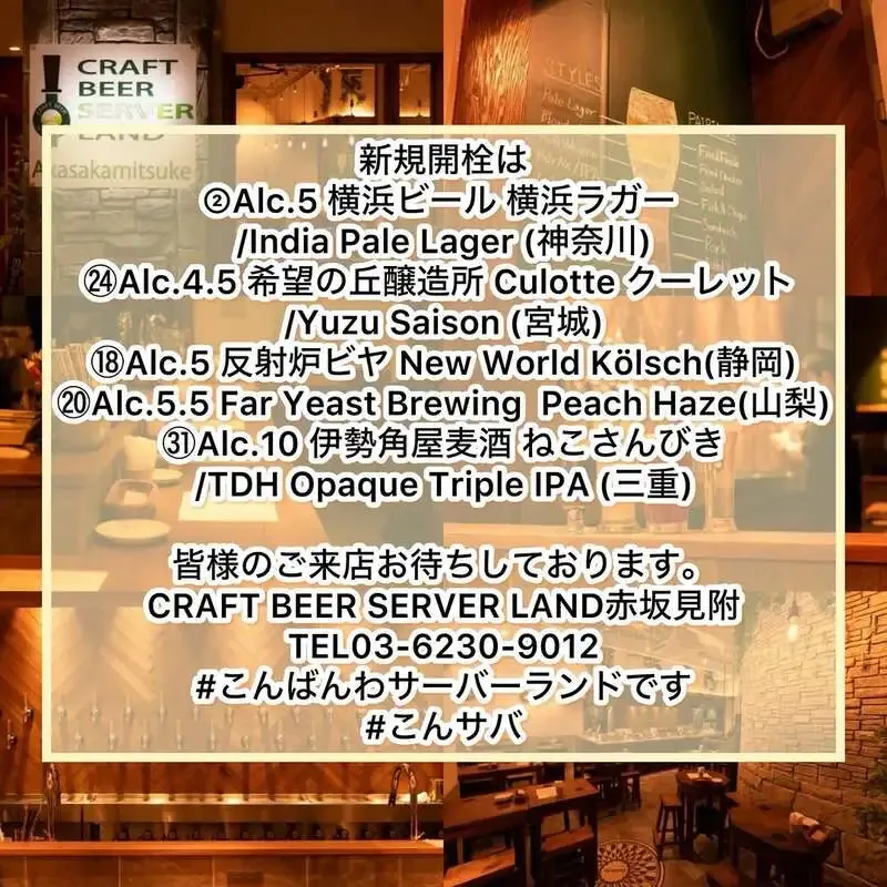 Craft Beer Server Land赤坂見附、3月23日17時開店で新規5タップ開栓