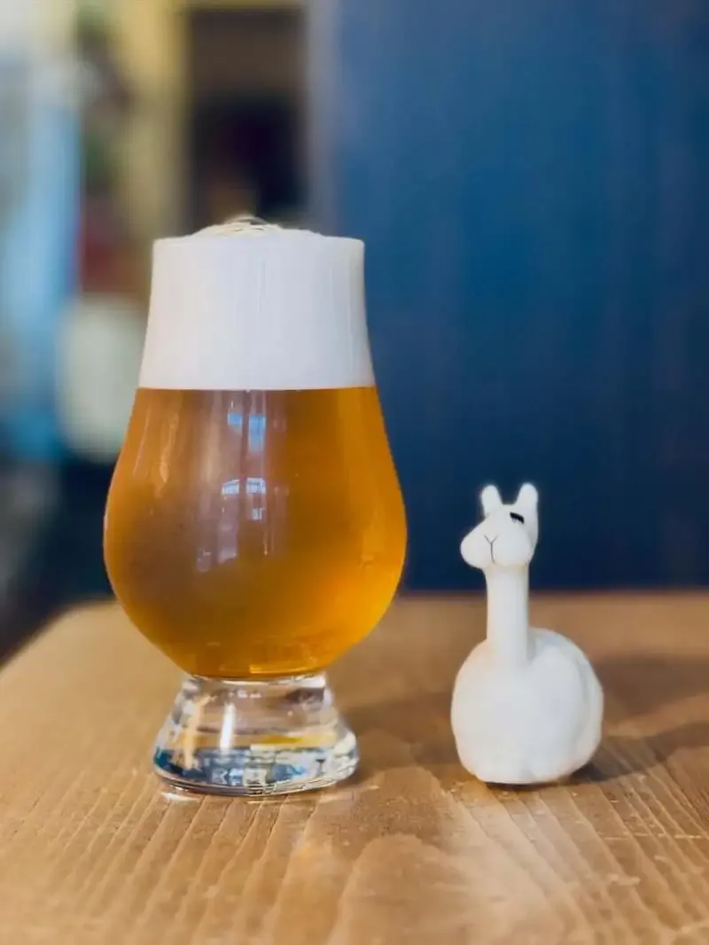 Beer shop Llamaで新規開栓、三鷹で最新タップをチェック