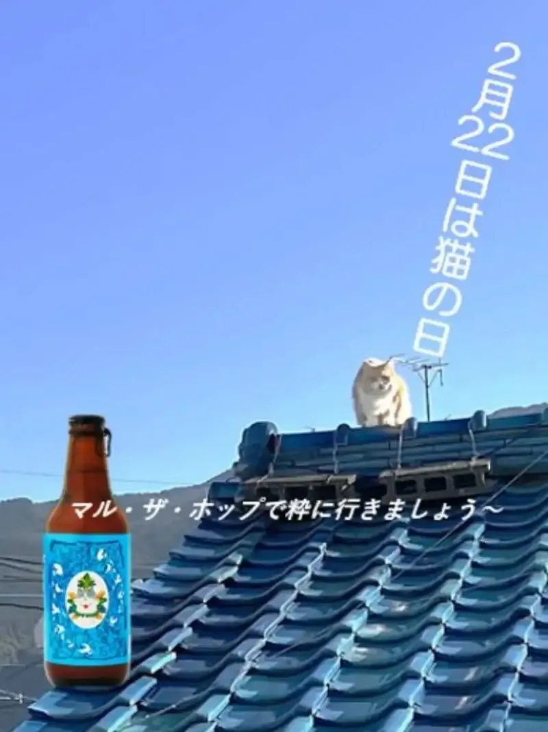 梅錦山川、猫の日に向け「マル・ザ・ホップ」を紹介　猫ラベルの愛媛クラフト