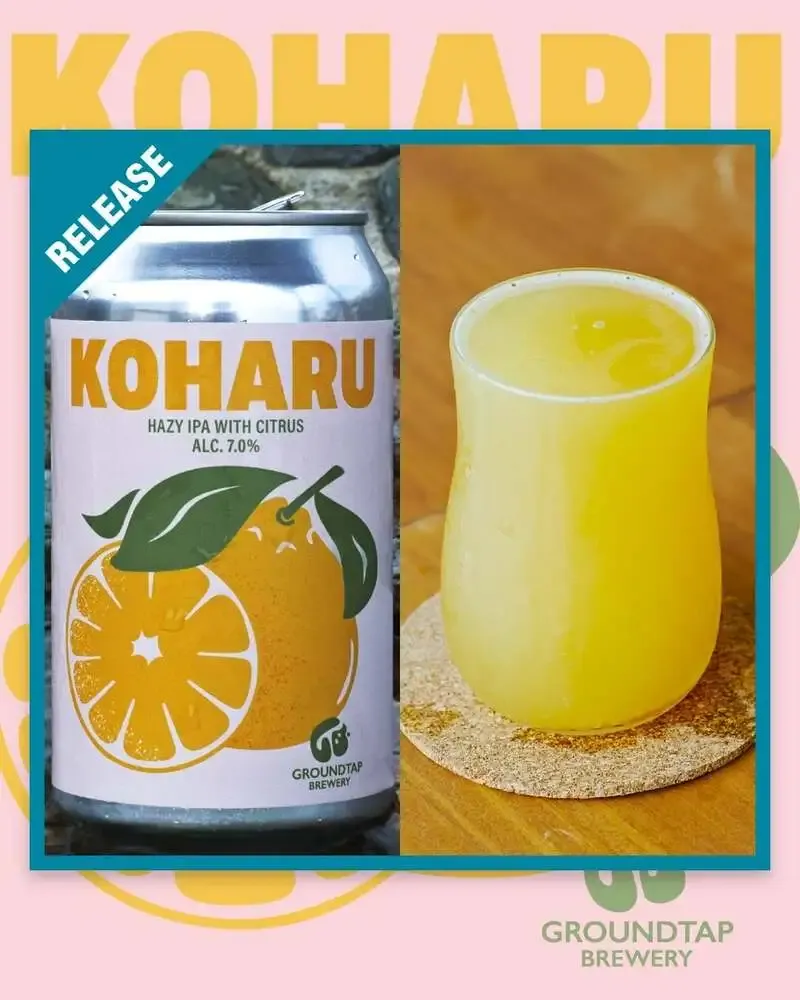 GROUNDTAP BREWERYで「KOHARU」開栓、媛小春Hazy IPAを提供開始