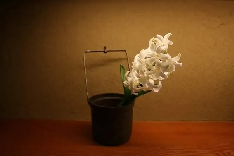 麥酒 夢詠ミで「トラピストコラボ スリールールズ」開栓、祇園で修道院コラボを樽生提供