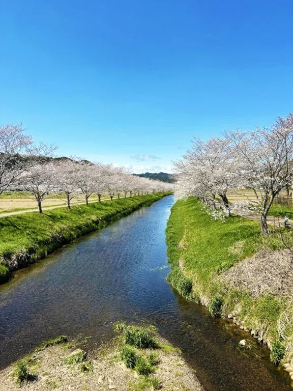 ノメンドブリュースタンド、3月28日から醸造2周年祭を開催へ