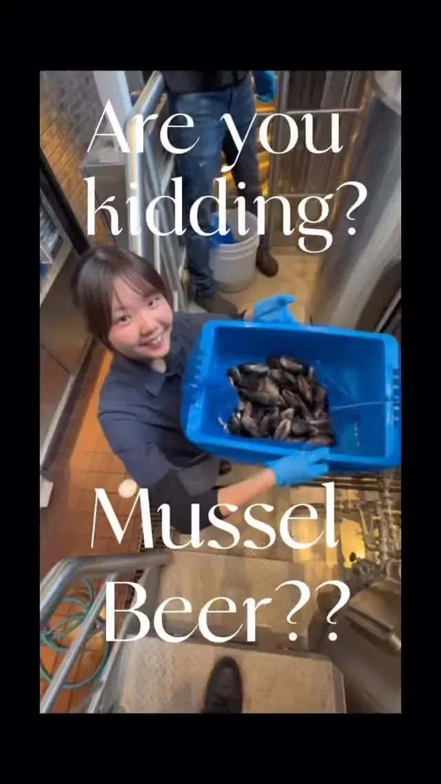 横浜ハンマーヘッドで“ムール貝ビール”仕込み開始、完成は約1カ月後