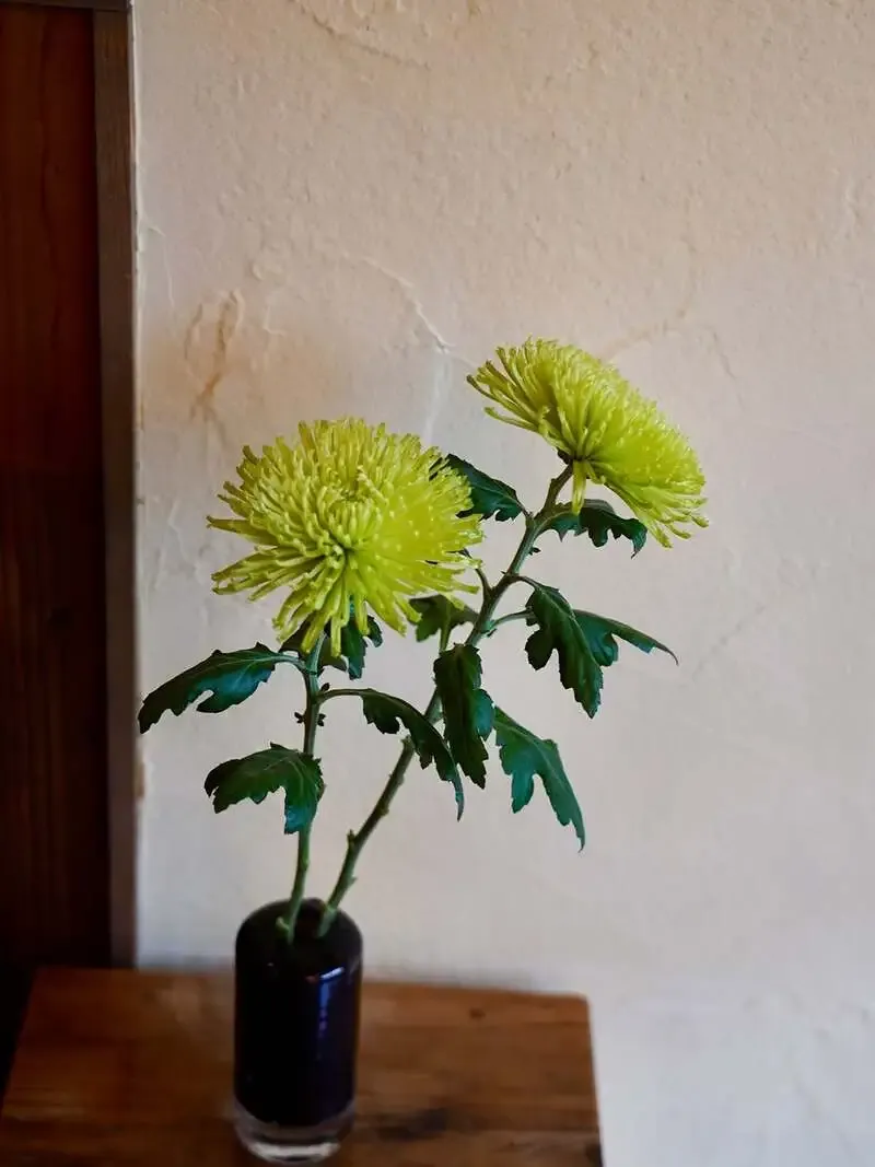 ビアパブイシイで春向けタップ更新、国内外8銘柄のラインアップ