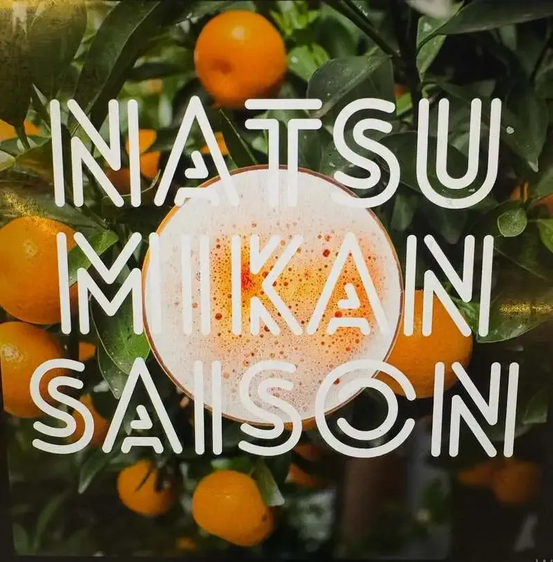 麦酒宿ランドリーで初登場、夏みかんセゾンを神奈川タップで提供