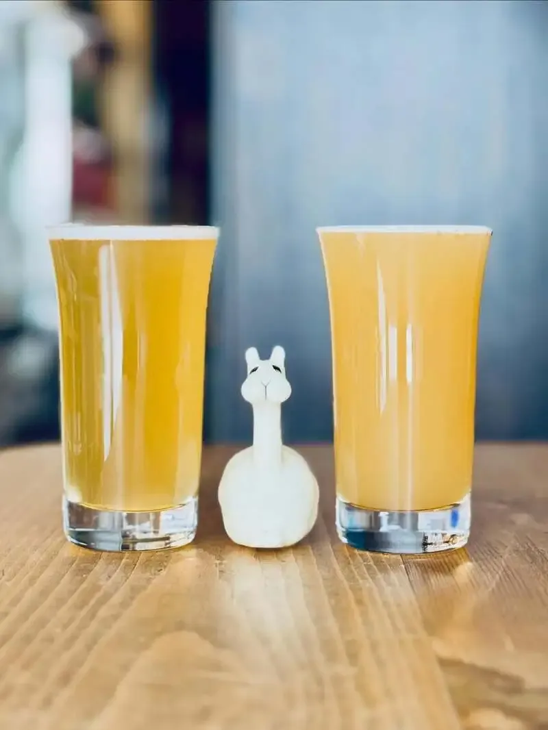 三鷹のBeer shop LlamaでCYCAD『Hanami』と横浜ベイブルーイング『りんごヴァイス』開栓