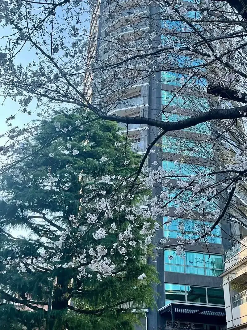 アントンビー六本木、3月23日の樽生はハニーエールからセルツァーまで10種