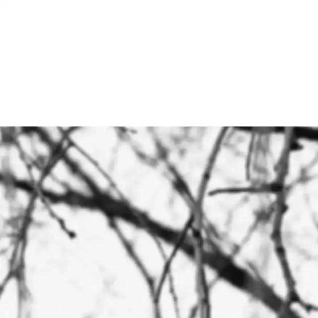 VERTEREが10周年記念フェス開催、4月18日・19日に奥多摩で実施