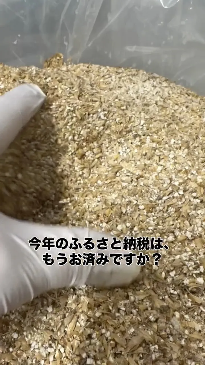 ヨーテイブルーイング、ニセコ町ふるさと納税返礼品にクラフトビールを展開