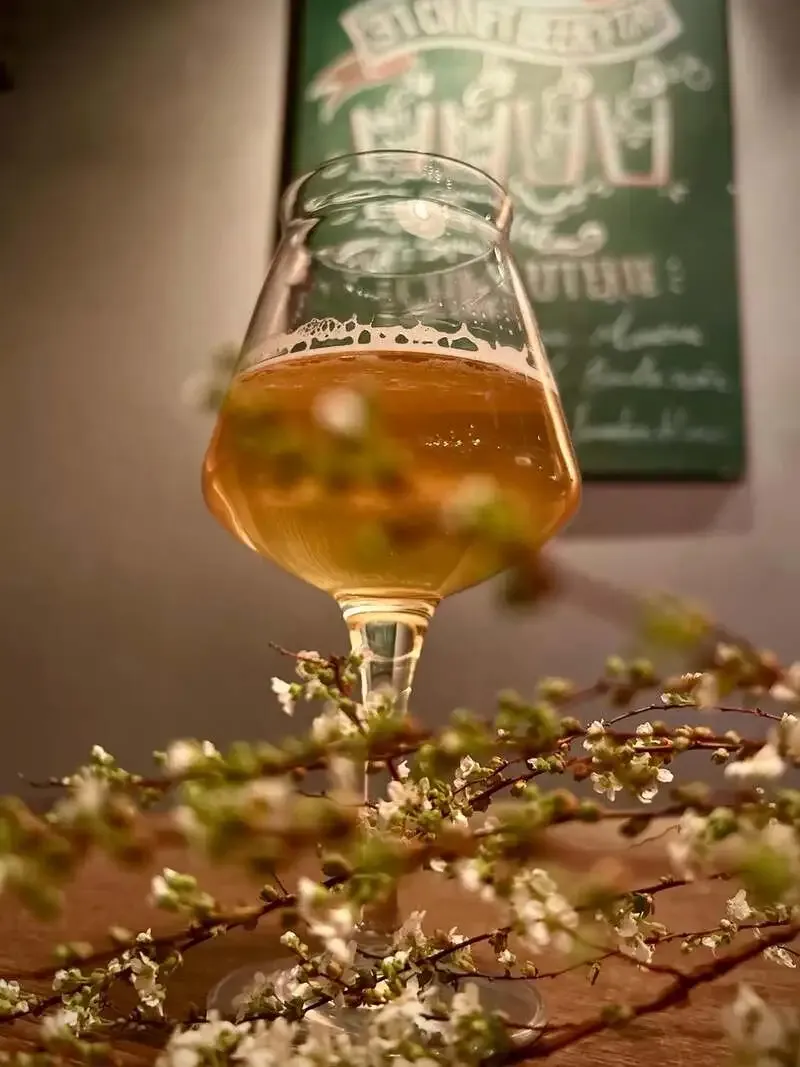 五反田クラフトマンで湘南ビール「さくらゴーゼ」開栓、春限定の一杯