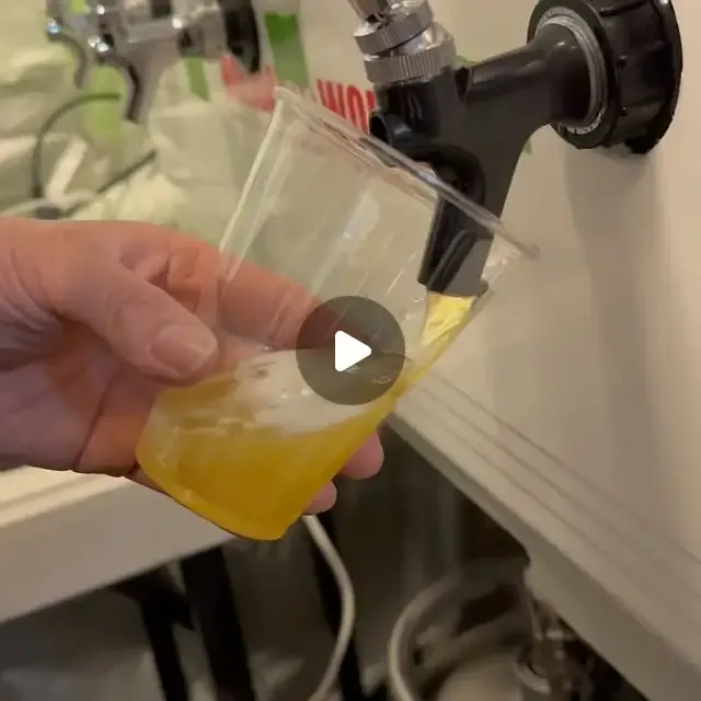 みぞのくち醸造所、3月28日「Sound & Chair ’26」に出店へ