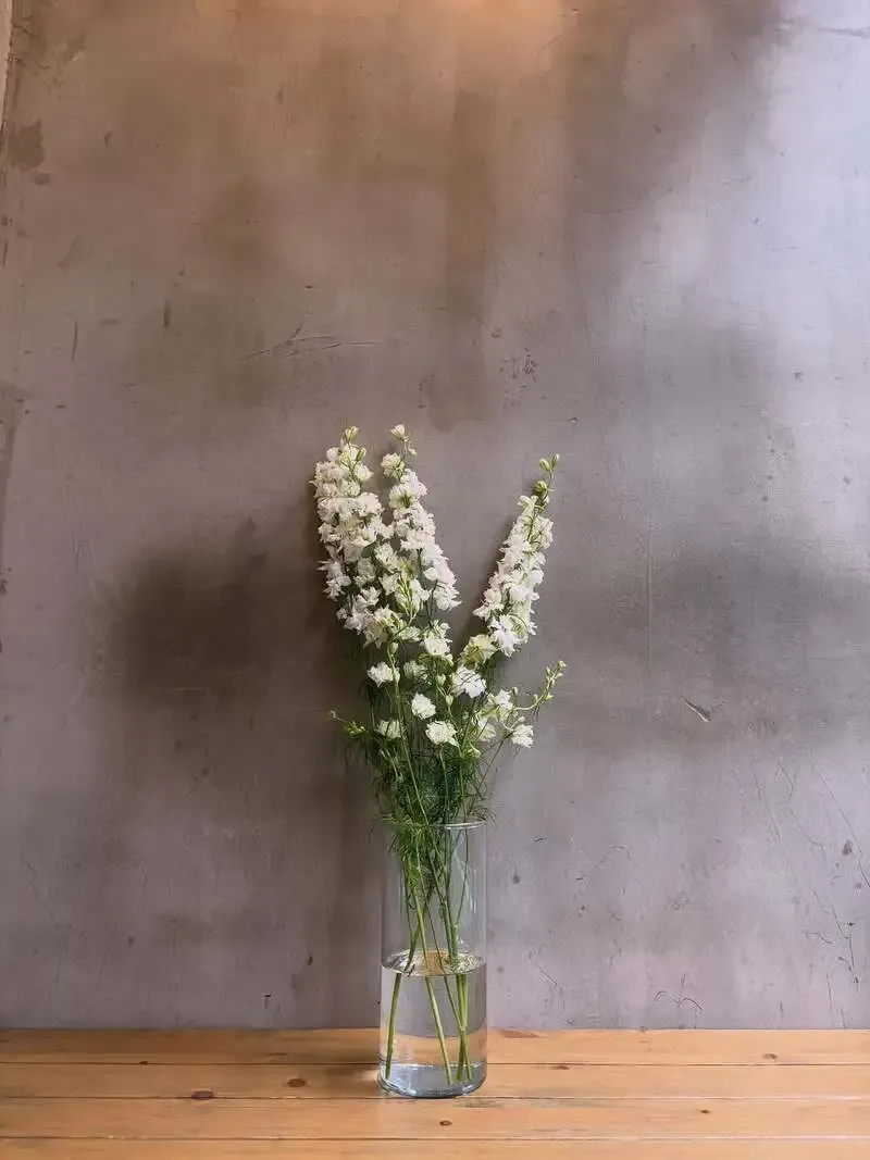 三軒茶屋サニティーで海外ゲストビール続々、MOKSA初上陸も