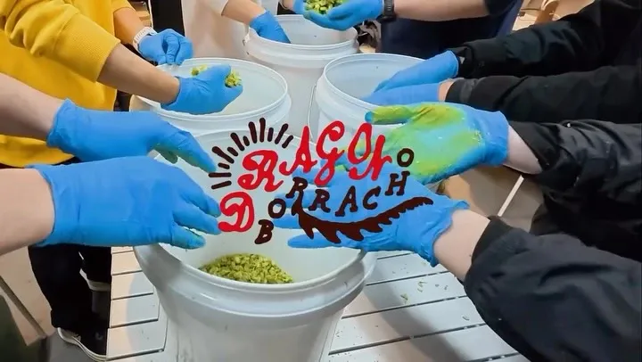 Dragon Borrachoで1周年、限定「JUST BITTER LIME」開栓