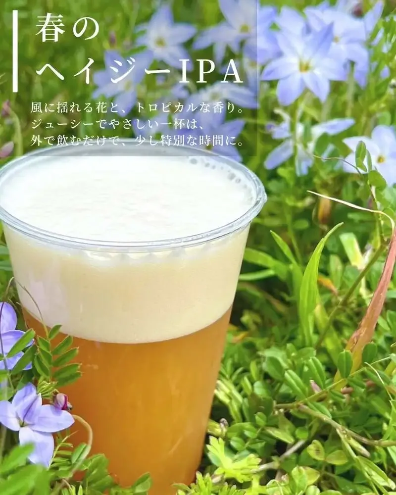 丹波篠山ジグザグブルワリー、春向けヘイジーIPAをマルシェで案内