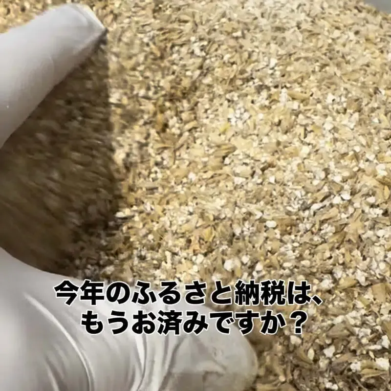 ヨーテイブルーイング、ニセコ町ふるさと納税返礼品に6本・24本セットを登録