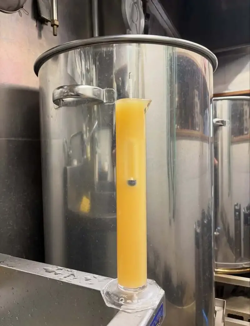 Toys BreweryでHAZY IPAとARGY BARGYが再びつながる