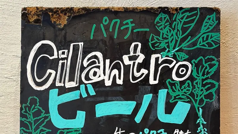 T.T BREWERY announces a new tap beer, Cilantro Bear