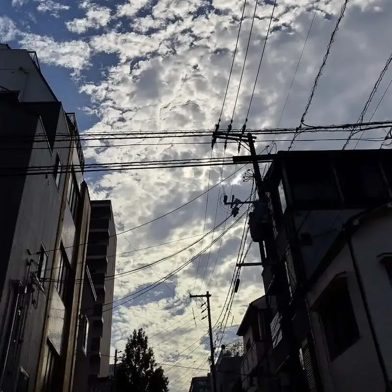 CRAFTRainbow、2sawのDanceや松本ブルワリーのSession IPAを提供