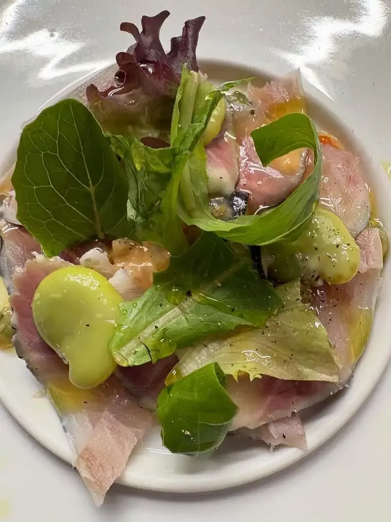 Saien Microbrewery's Today's Recommendation is Bonito Carpaccio with Aromatic Herb Sauce