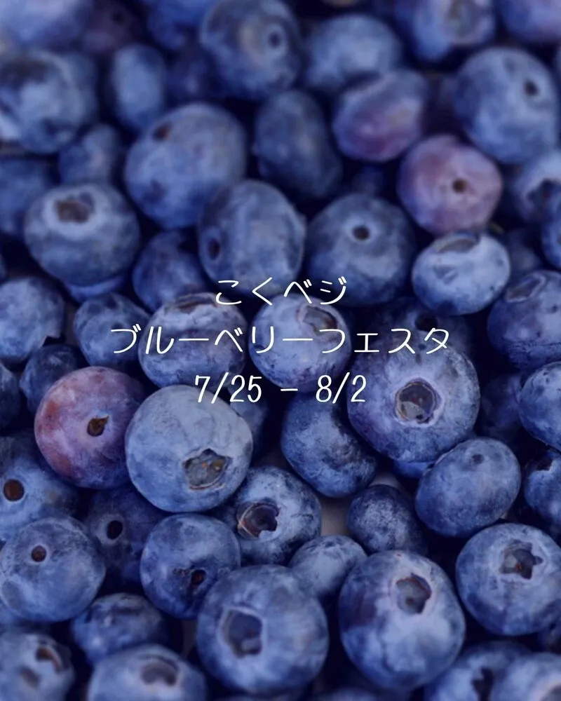 Gambrinus in Kokubunji announces 11 taps and summer plans