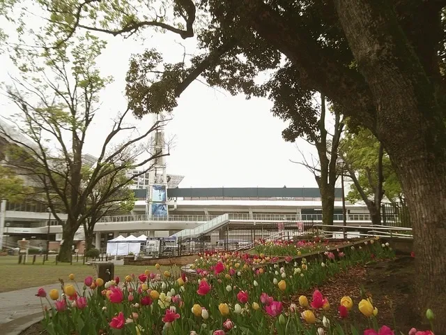 CRAFT BEER BAR、4月11日は志賀高原ビール8種を案内