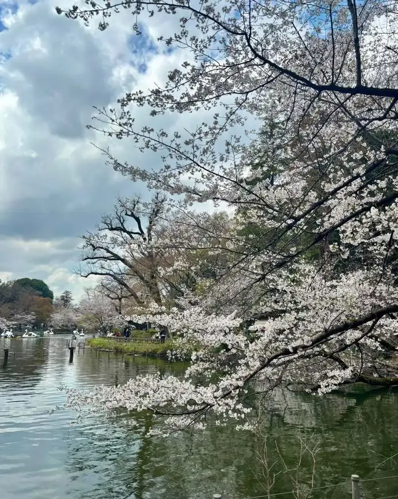 P2B Haus、3月27日のタップリスト公開　忽布古丹やNOMCRAFTなど12種