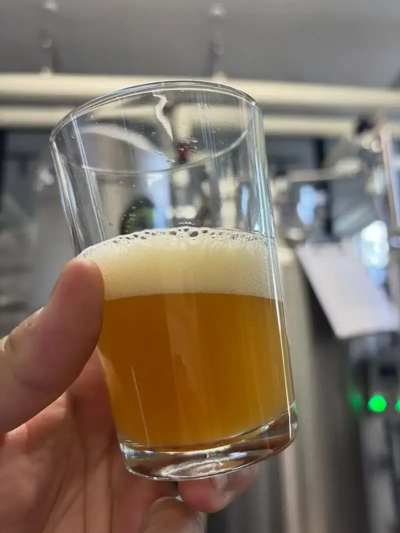 Iwanai Brewery & Hotel Releases Seasonal Iwanai Fresh Hop Hazy