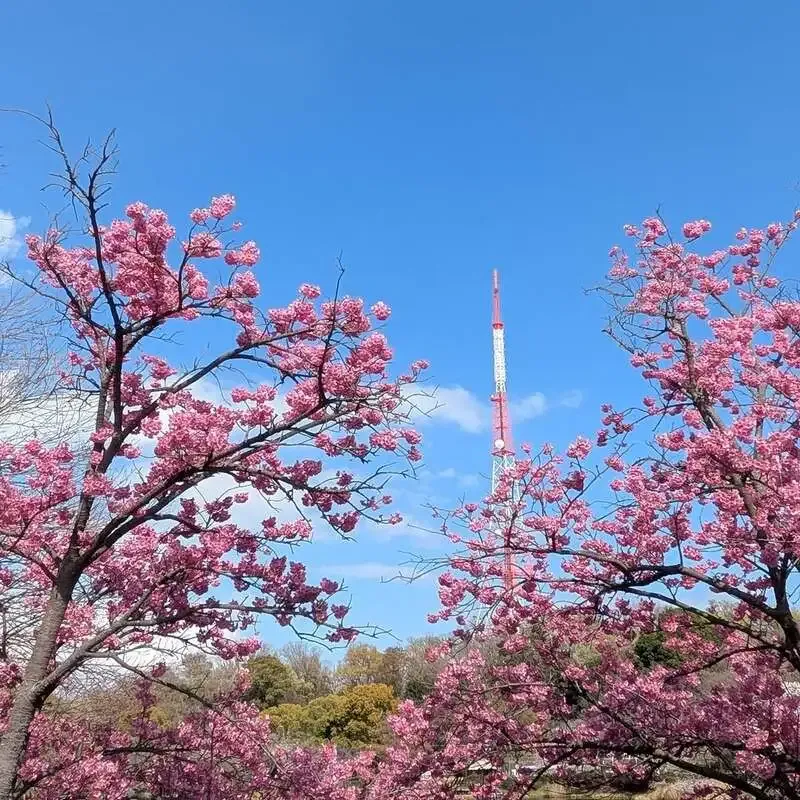 Craftbeer Sloth House、タップリスト更新　ISEKADOやWCBなど7種が登場