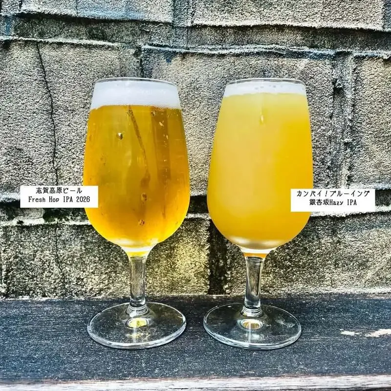 Fresh Hop IPA and Hazy IPA Pour at Tullamore in Yoyogi Park