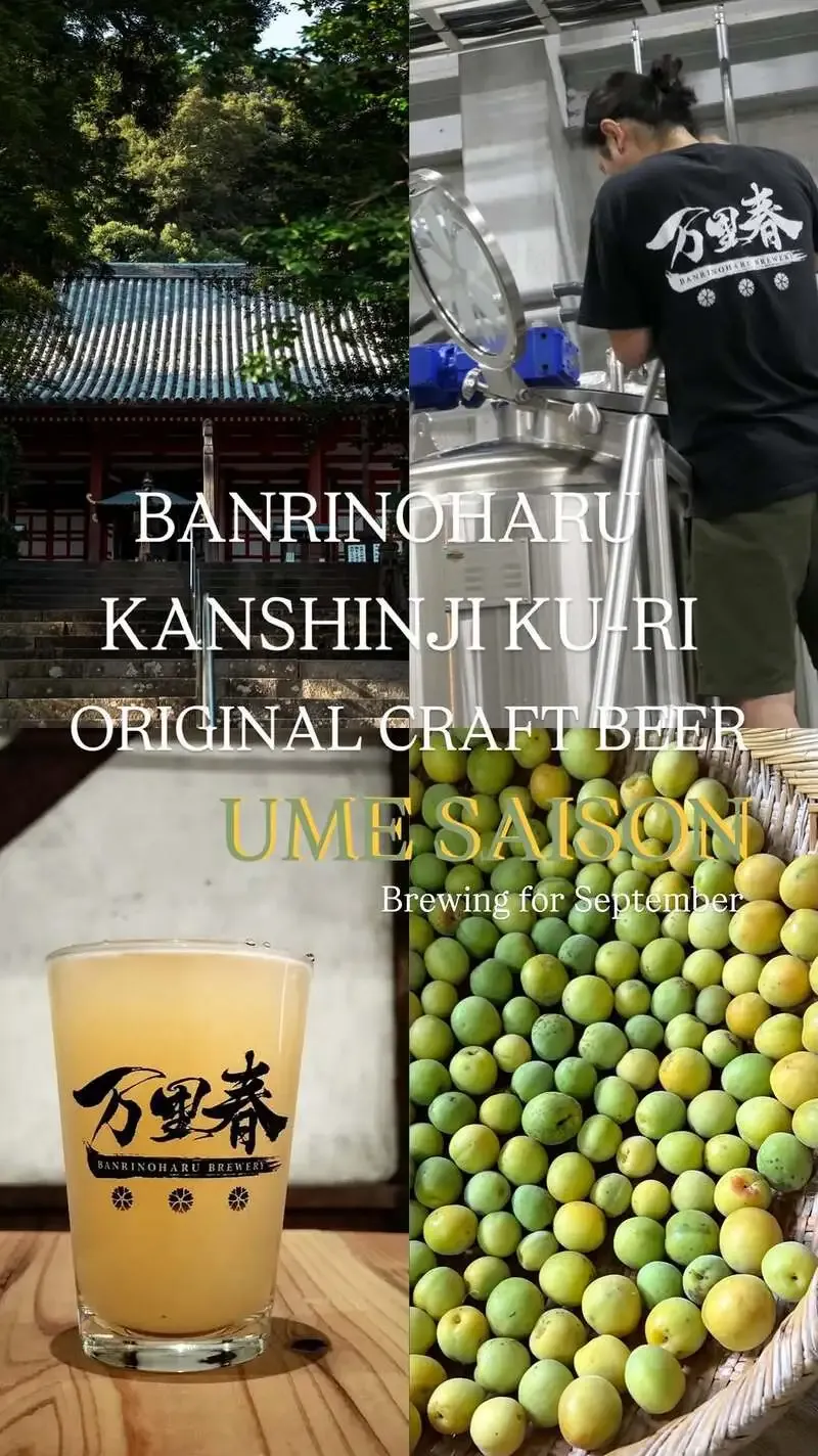 Banri no Haru Brewery Introduces Its Aoume Saison Made with Kanshinji Plums