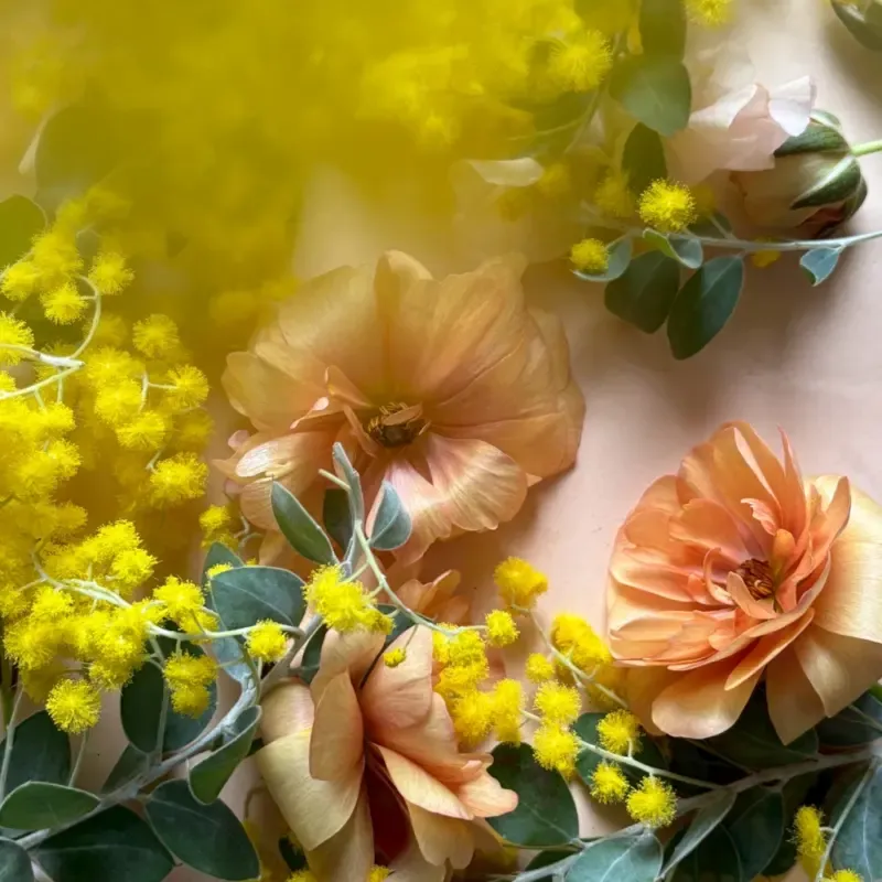 ユイトリエール、初の750ml瓶「MIMOSA SAISON」を2月27日発売