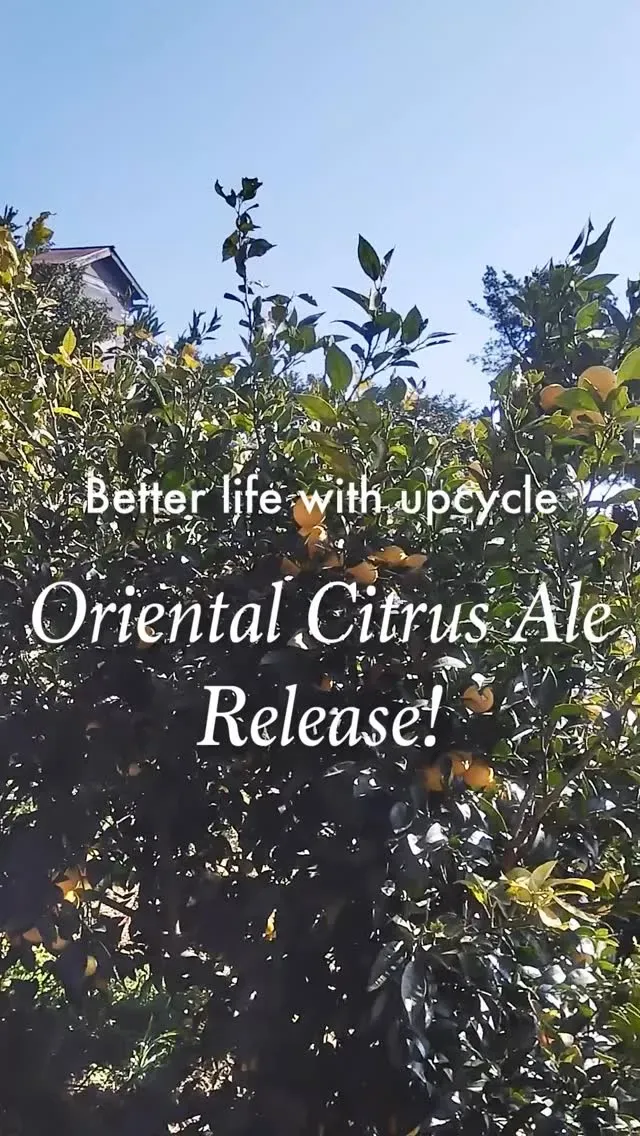 Better life with upcycle、湘南ゴールド使用の『Oriental Citrus Ale』を6月9日発売