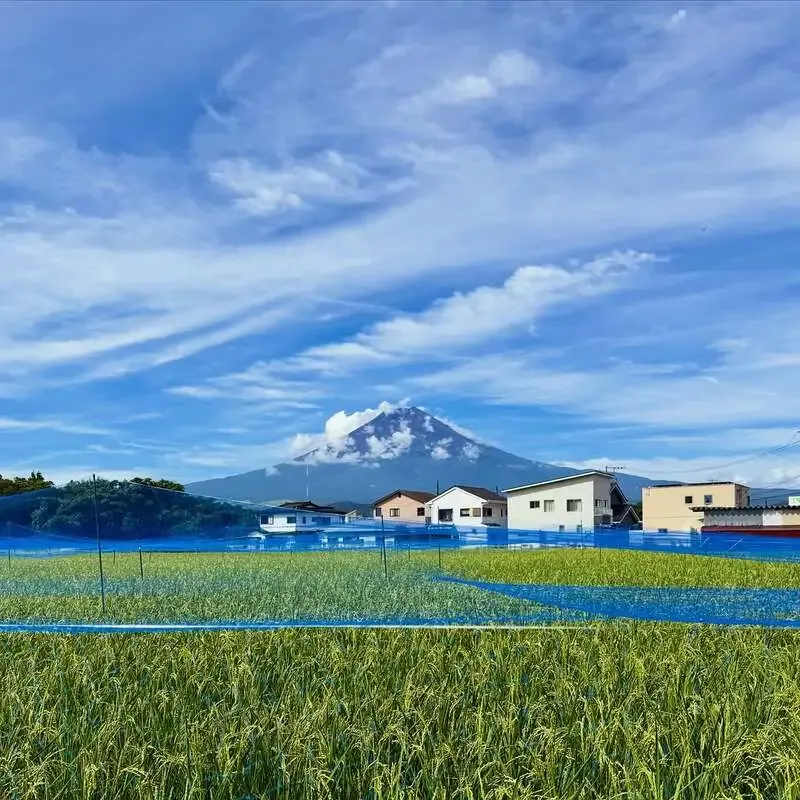 BRIGHT BLUE BREWING、秋の始まりを告げる5種をタップ提供　瓶は3種