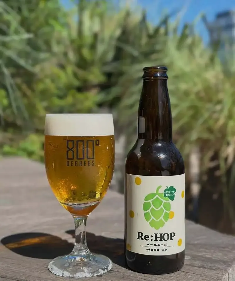 Yokohama Beer’s Re:HOP Pale Ale with Shonan Gold pours at 800°DEGREES