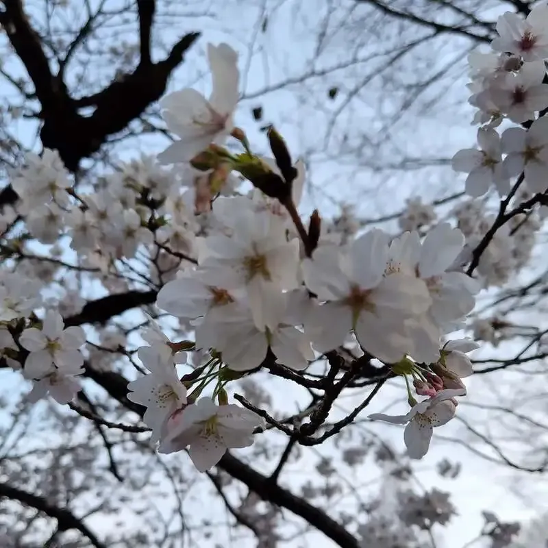 CRAFT Rainbow、野田屋町で5種のタップラインナップを公開