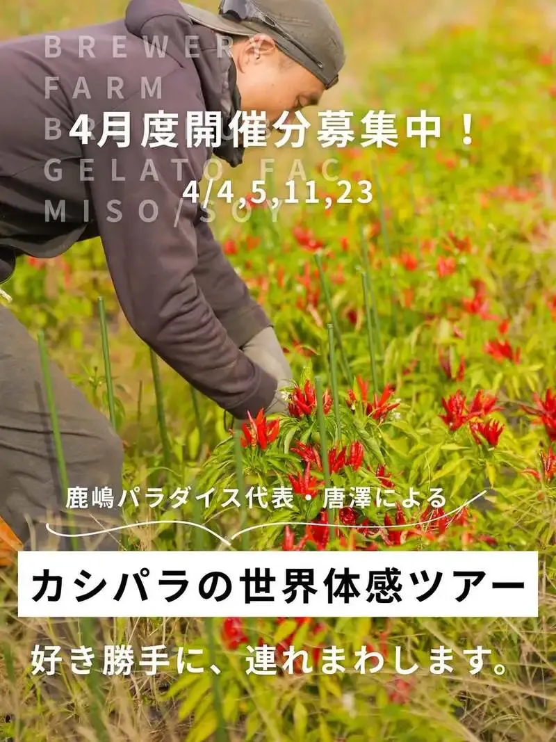 パラダイス・ビアファクトリー、4月の満喫ツアー予約受付を開始