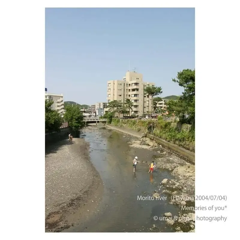 葉山の15brewery、7月31日は量り売り営業　沼の底やRaw Hazy IPAを提供