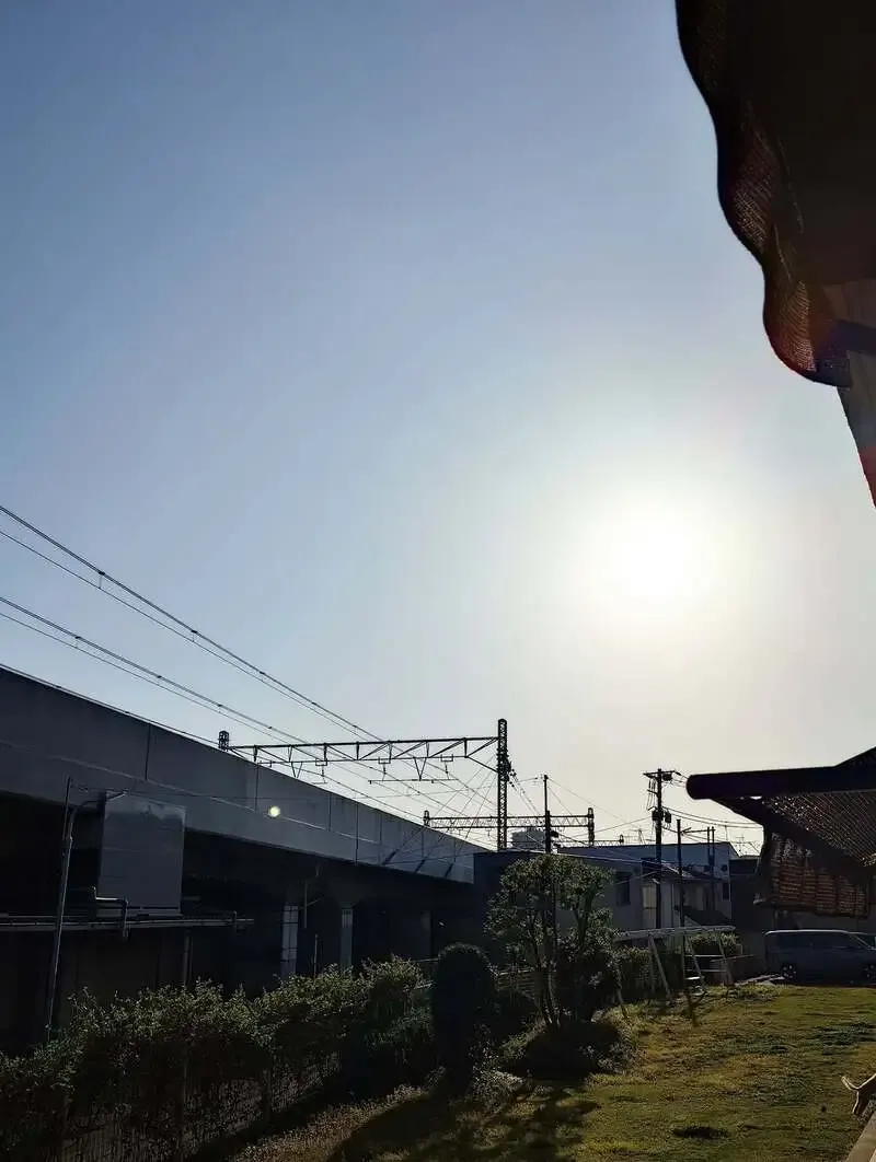 アンドビール高円寺で「超完熟紀州南高梅Weizen」提供、梅エール飲み比べも