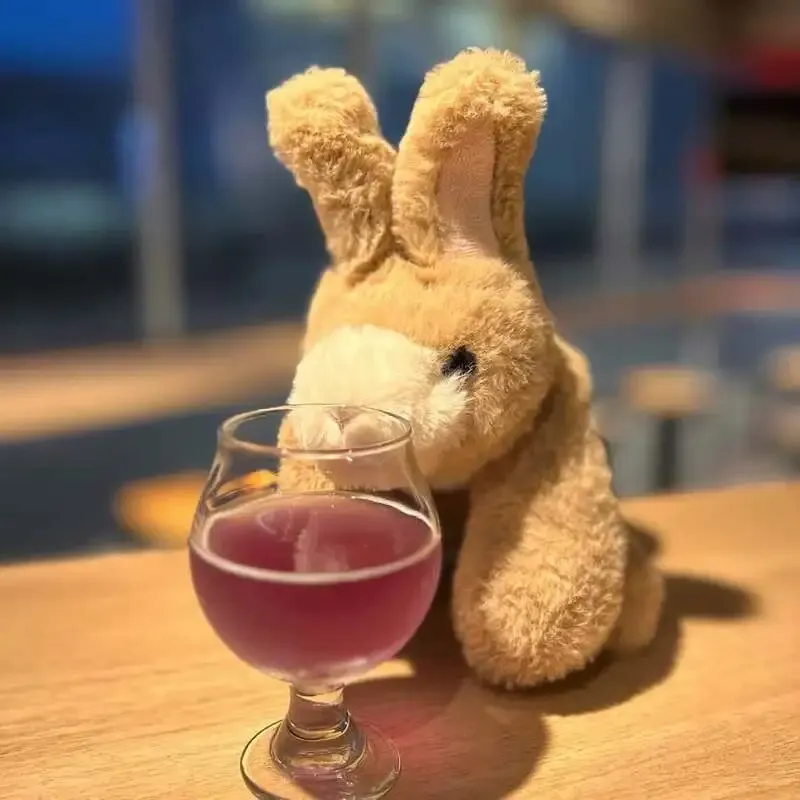 吉祥寺のBEER MARROW、本日のタップにDD4D「Mag Mag」など6種