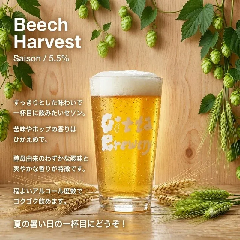 Citta Brewery begins pouring saison Beech Harvest