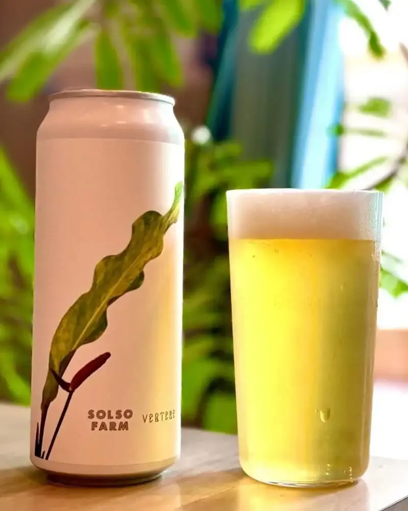 Taru Taru in Takamatsu features VERTERE’s Macranthos SOLSO FARM collab