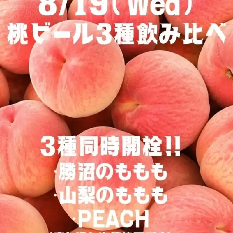 アンドビール、伊勢丹新宿店のカレーフェスで限定「Botanical PeachAle」を提供