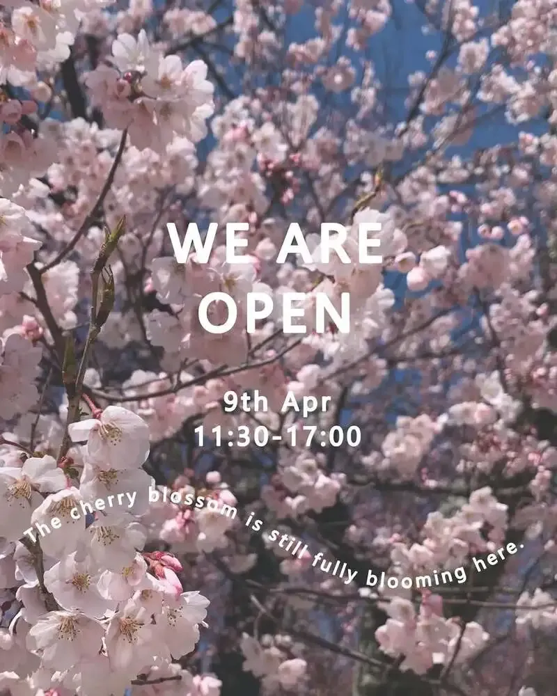 In a daze Brewing & Taproom、4月9日タップリスト公開　地元米IPAから桜仕込みまで7種