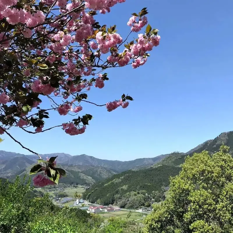 岡山市のCRAFT Rainbowで本日のタップリスト公開　うしとら、スワンレイク、サントリー生