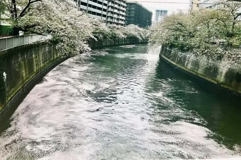 五反田のThe Grafton、4月7日のタップリスト更新　樽生ギネスやXPAが並ぶ